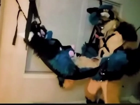 Furry tied up and fucked